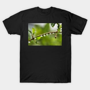 Water droplets and reflection T-Shirt